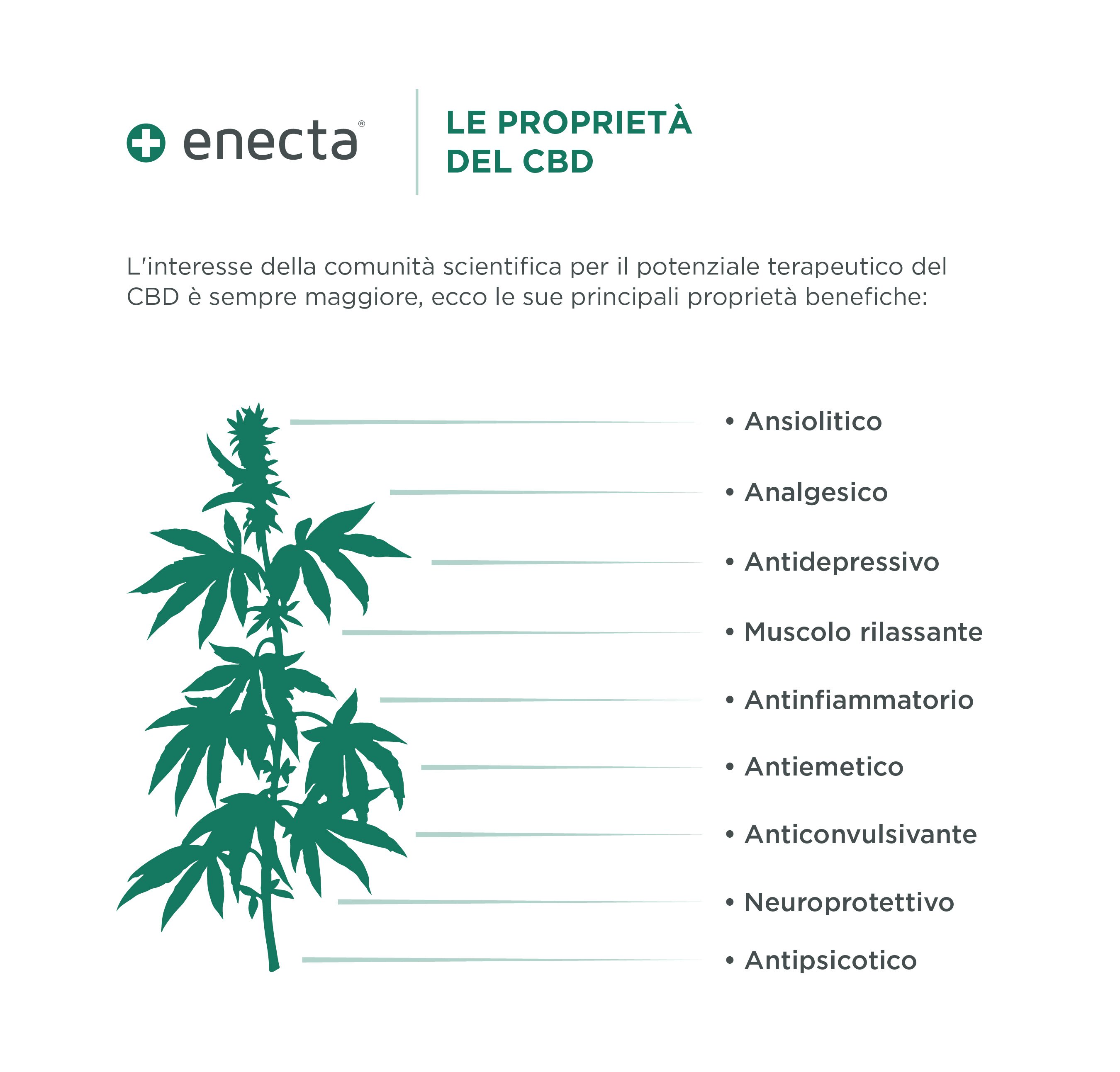 Infografica con le proprietà terapeutiche del CBD