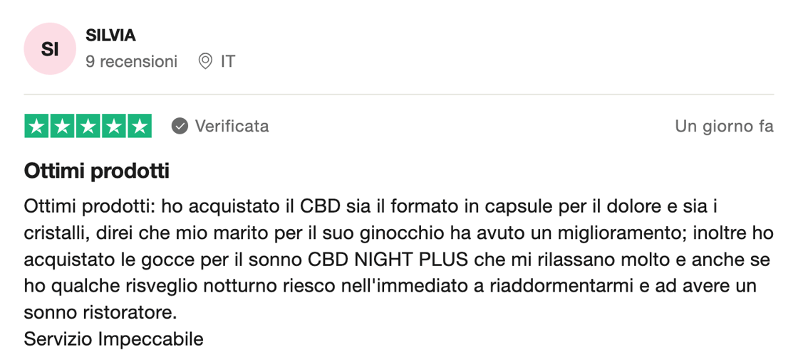 recensione silvia