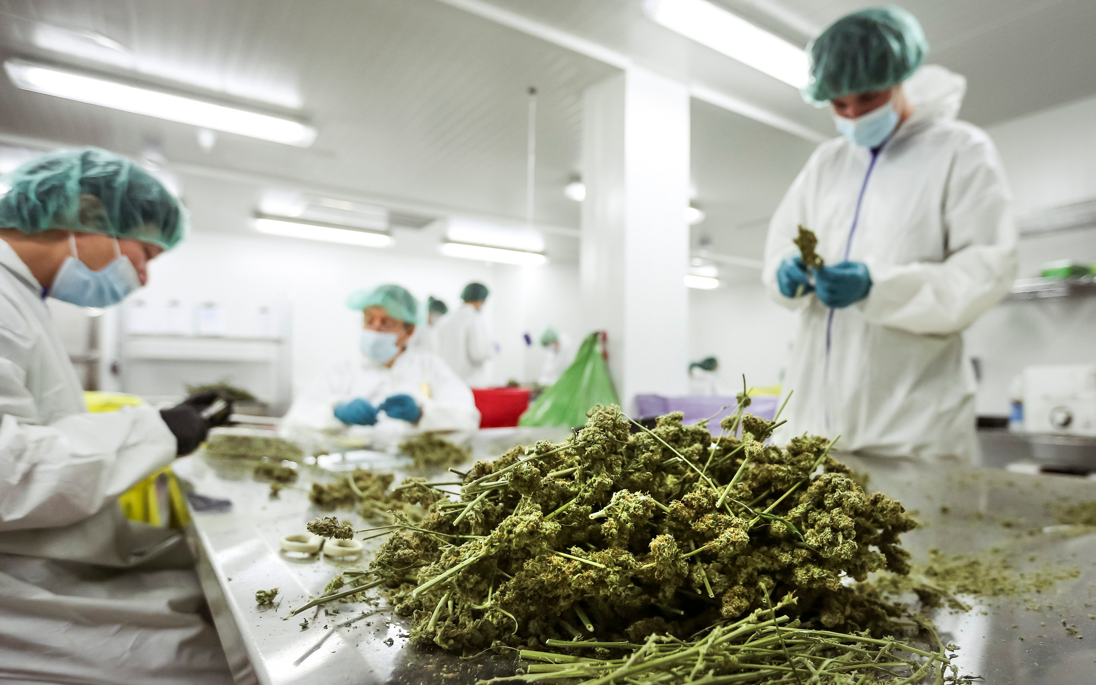 Test-pesticidi-su-genetiche-enecta
