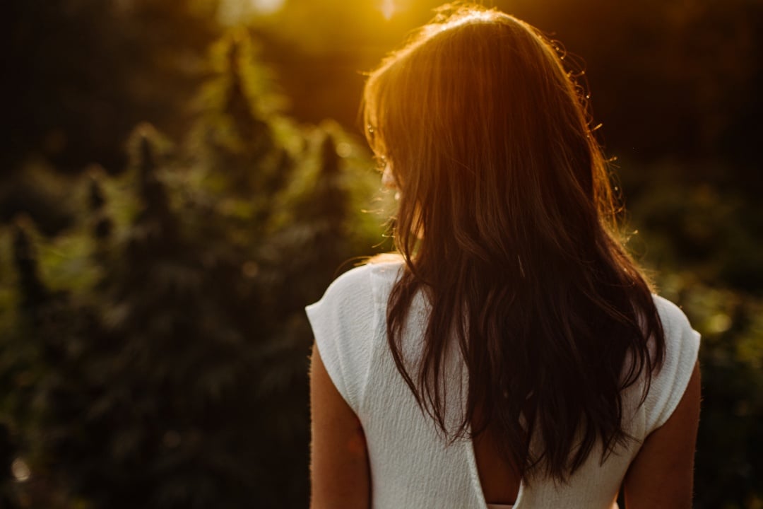 Ragazza di spalle in campo di Canapa al tramonto