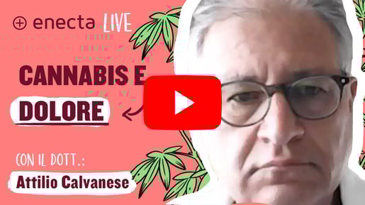 intervista-dott-Calvanese-cbd-antidolorifico